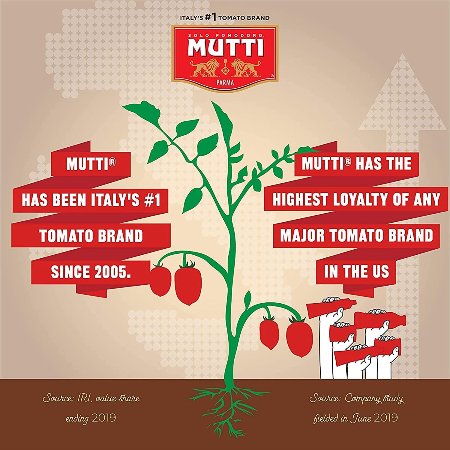 Mutti Organic Tomato Puree (Passata), 19.7 oz. | 3 Pack | Italy's